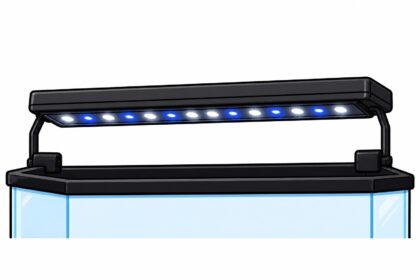 best axolotl tank light